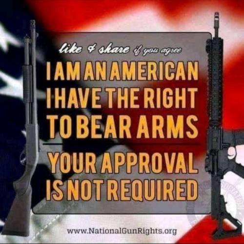 M National Gun Rights