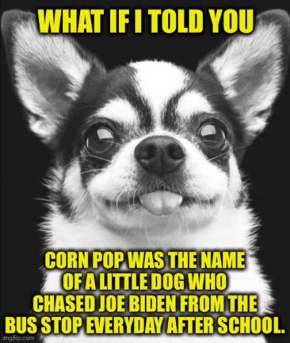 cornpop