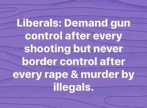 defund the democrats 1