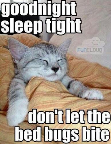 good-night-memes-21-720x930
