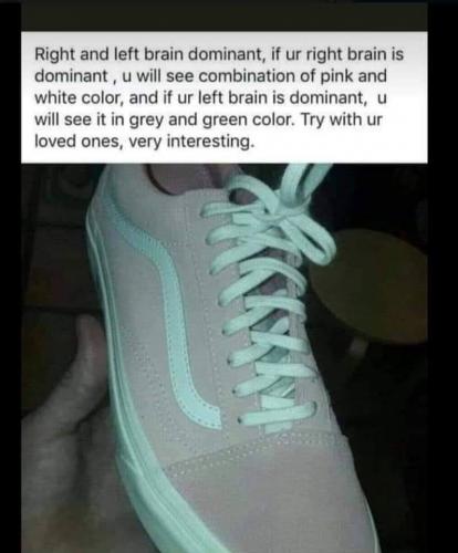 87874828_628841007912474_5061883416652283904_n