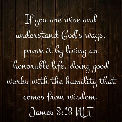 IMG_20240428_082312_345