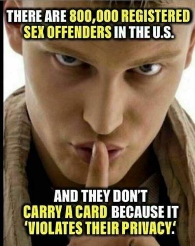 Anti American traitors 15