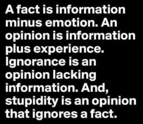 stupidity emotion