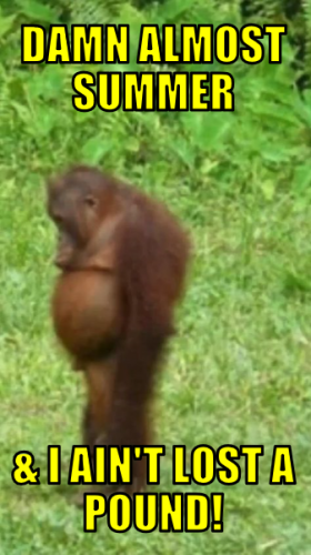 dasaihlap