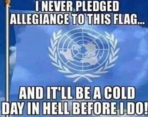 Screenshot_20240404-175430_Gallery