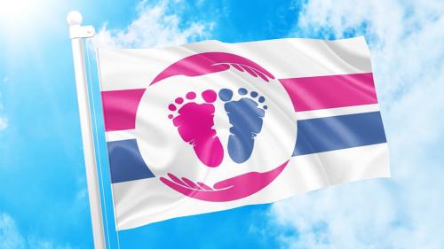 Pro-Life Flag 2