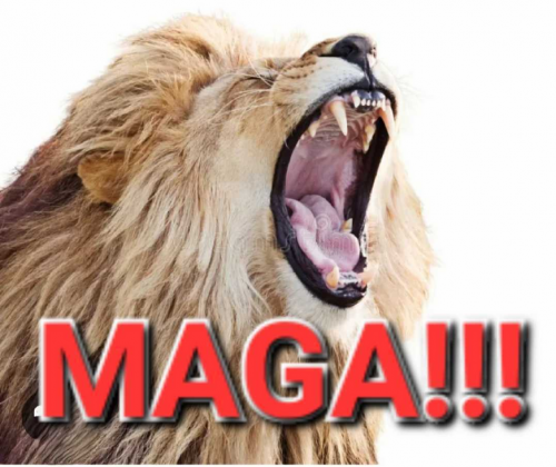 MAGARoar