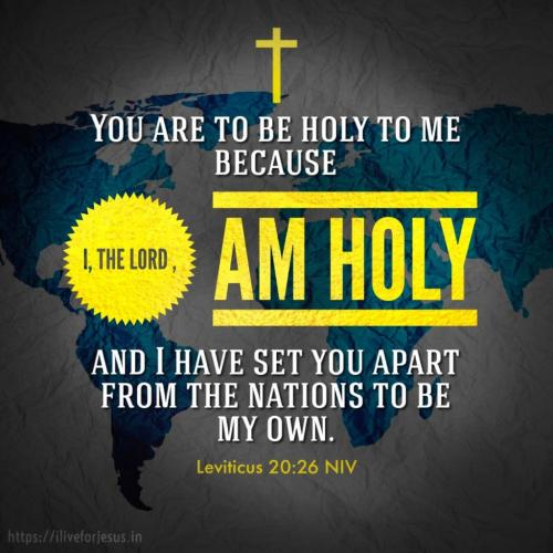 IMG_20240413_102542_493