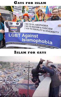 islam gays STUPIDITY