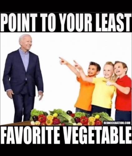 Moron - Biden and trudo and xi and all member of the wef - u.n.