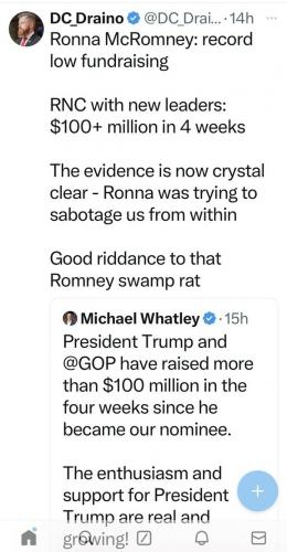 romney swamprat