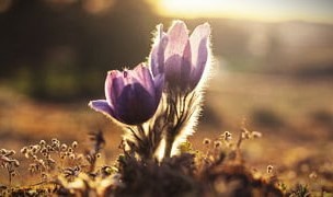 041124 - Clothed in Christ