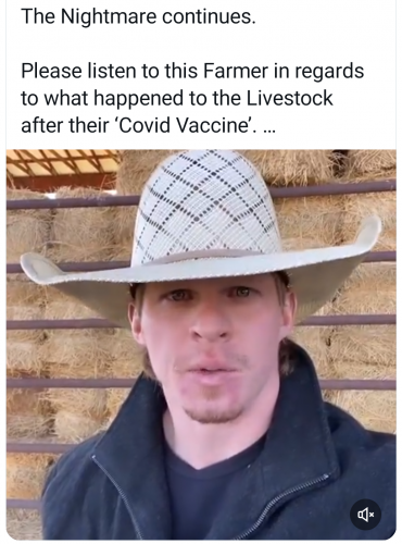 Screenshot_20240402-230307~2