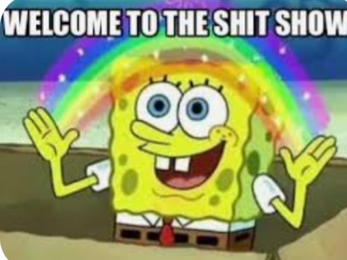 Screenshot_20240417-094117_Google