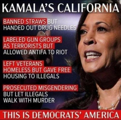 img - 2024-04-18T112905.880