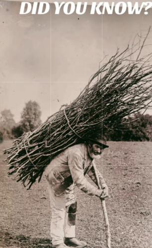 Screenshot_20240424-082701_Photo Editor