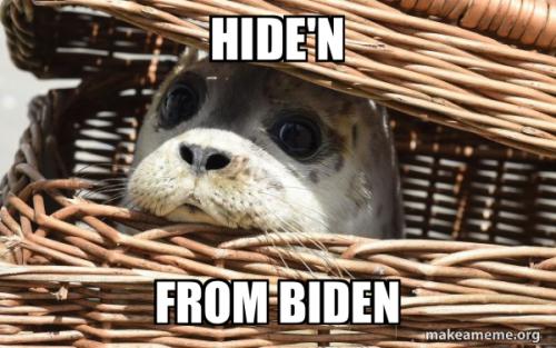 hiden-from-biden-74d749d33f