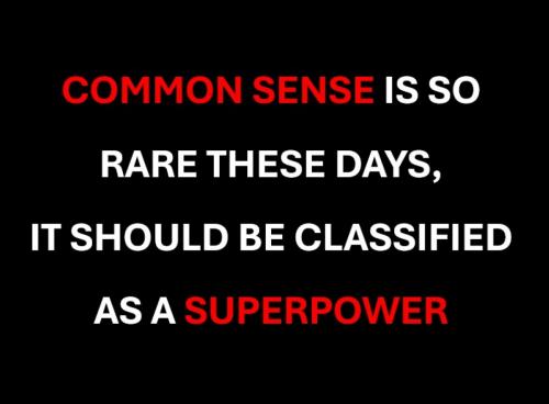 USA common sense