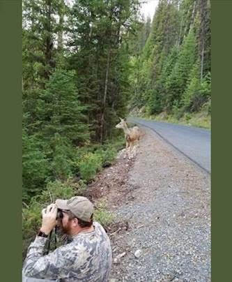 Man, Woods, Binoculars -- Deer Watching