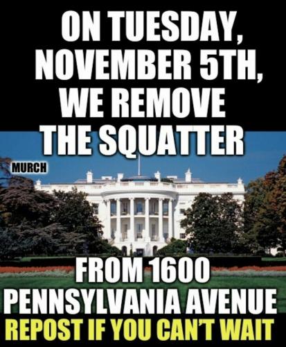 squatter wf
