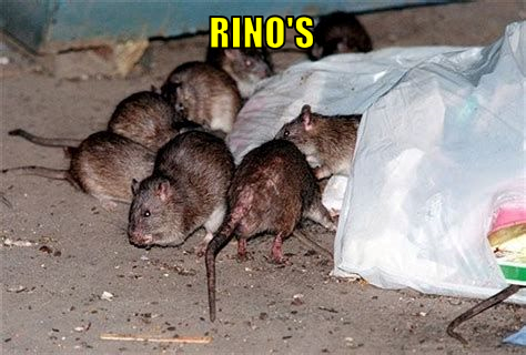 rino