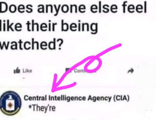 Screenshot_20240420-161403_TikTok