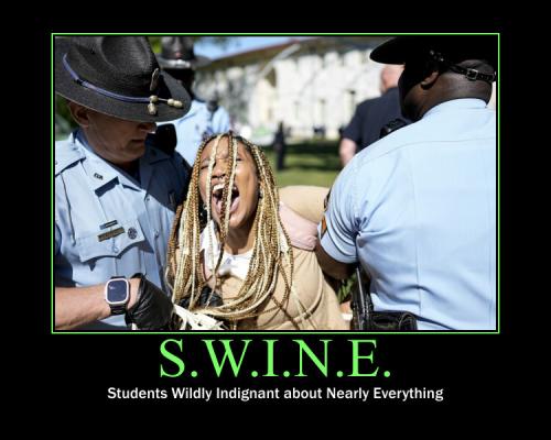 SWINE demotivational2.jpg