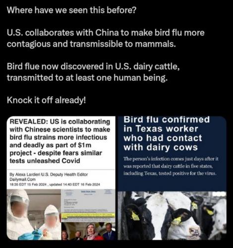 KNOCK IT OFF ALREADY   GETTR