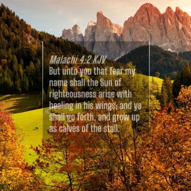 IMG_20240411_105849_092