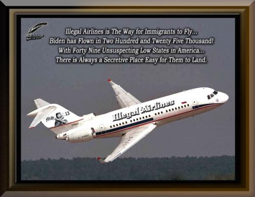 Illegal Airlines