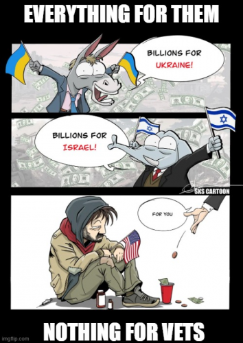 nothing for vets