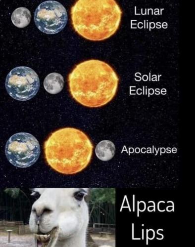 1000020895