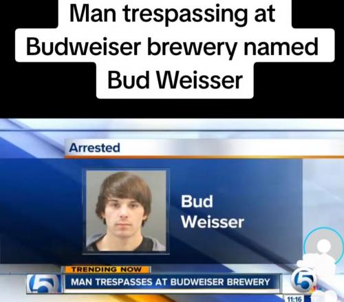 Screenshot_20240415-135241_Gallery