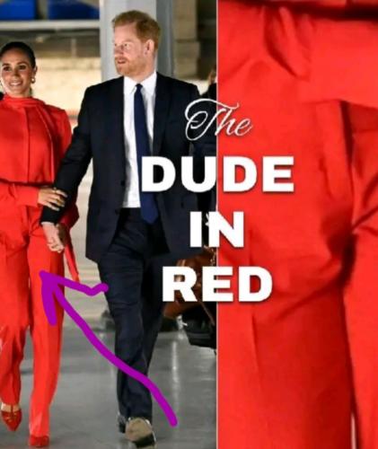 Screenshot_20240419-074807_Gallery