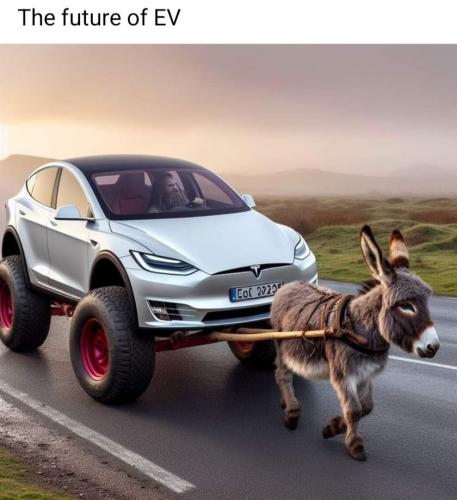 future ev