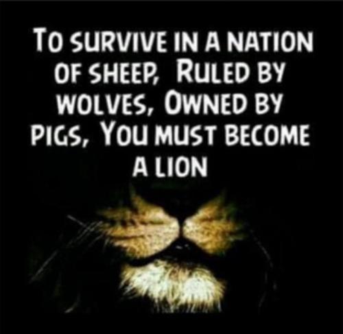 RO survive in nation