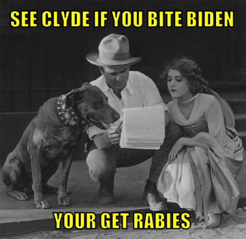 sciybbygr