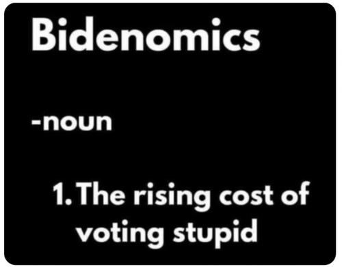 voting stupid