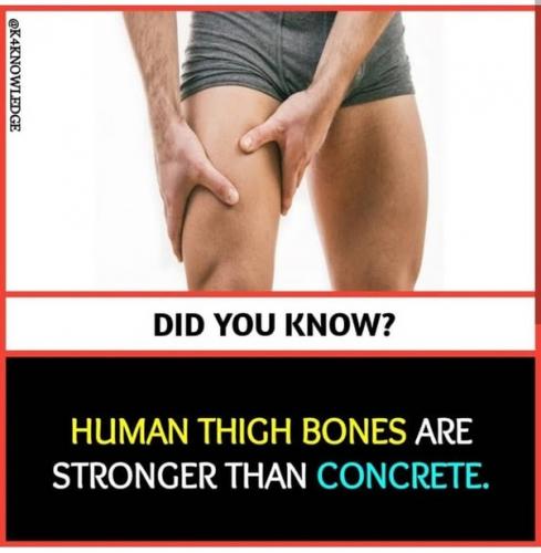 Human Thigh Bone vs. Cement -- Stronger