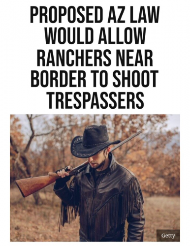 RO proposed AZ law