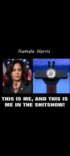 Screenshot_20240419-080256_Gallery