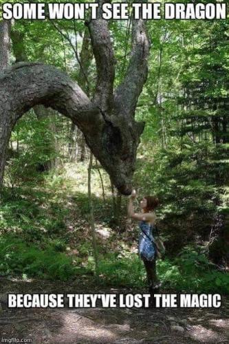 Dragon - Tree in woods