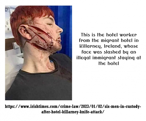 4e3c6c4cf6813f7f (1)