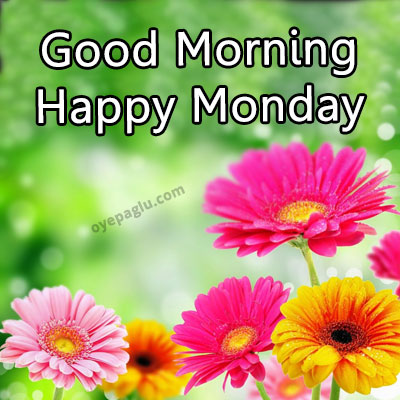 1000021918