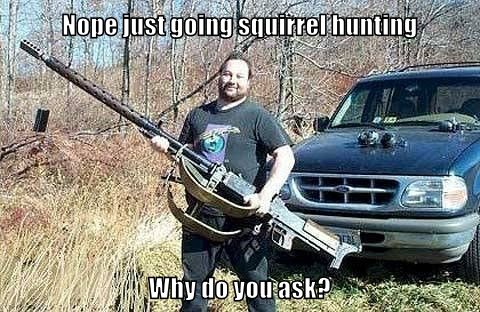 squillal hunting