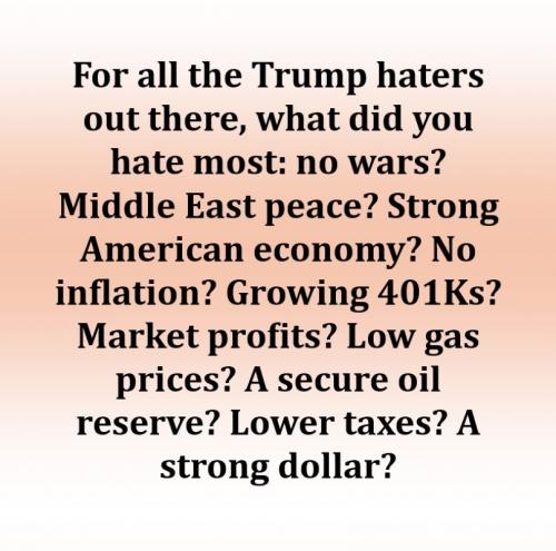 USA For Trump Haters