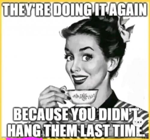 Screenshot_20240418-164225_Photo Editor