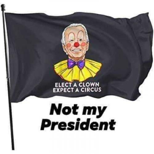 USA elect a clown