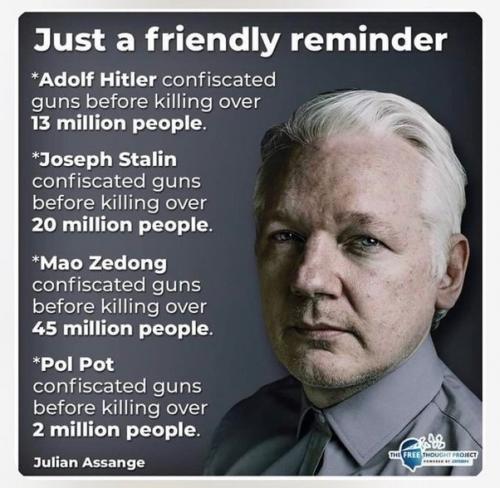 GUNS CONFISCATED